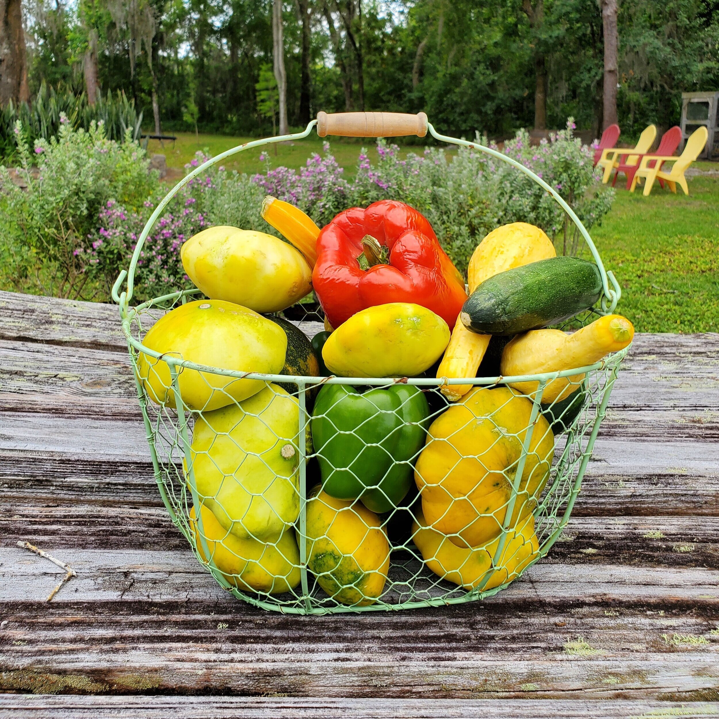 Basket filled with fresh vegetables including yellow squash, zucchini, green and red bell peppers, and other colorful produce, set against a lush garden background.