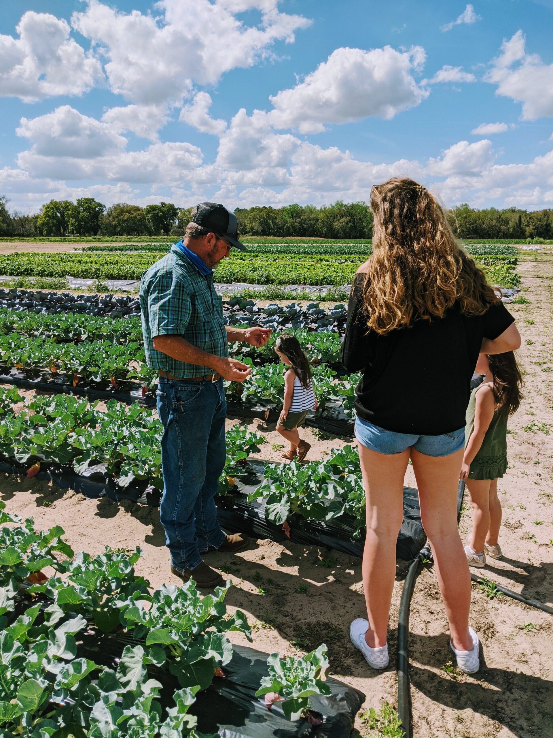 Farmer interacting with children in a vegetable field, showcasing healthy crops under a bright blue sky with fluffy clouds.