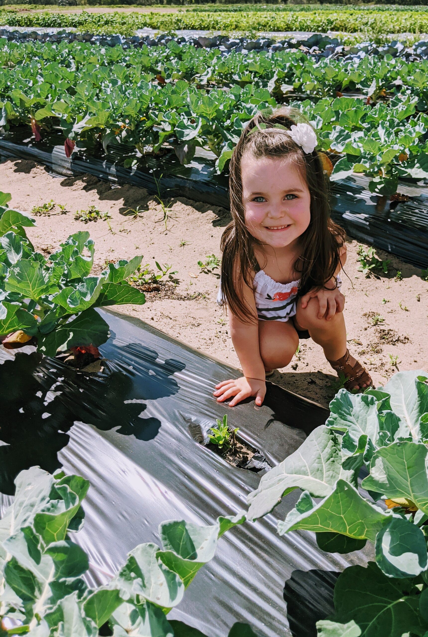 Young girl crouching in a vegetable field, smiling while examining plants, surrounded by rows of leafy greens and black plastic mulch.