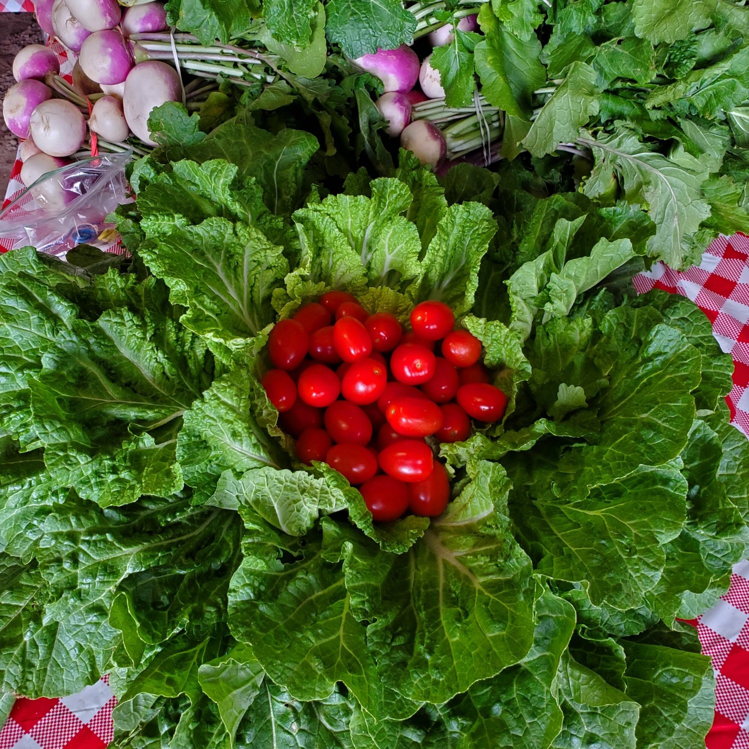 Fresh red cherry tomatoes nestled in crisp green lettuce leaves, surrounded by vibrant radishes and leafy greens, showcasing a colorful assortment of vegetables on a checkered tablecloth.