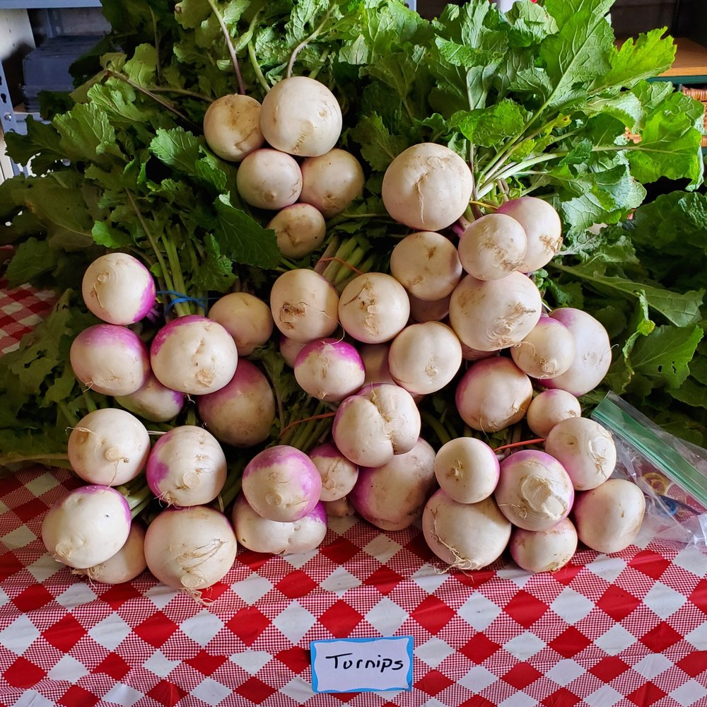 Fresh turnips with green tops displayed on a red and white checkered tablecloth, labeled "Turnips." The image showcases a bountiful harvest, highlighting the round, white and purple vegetables. Ideal for recipes and healthy eating.