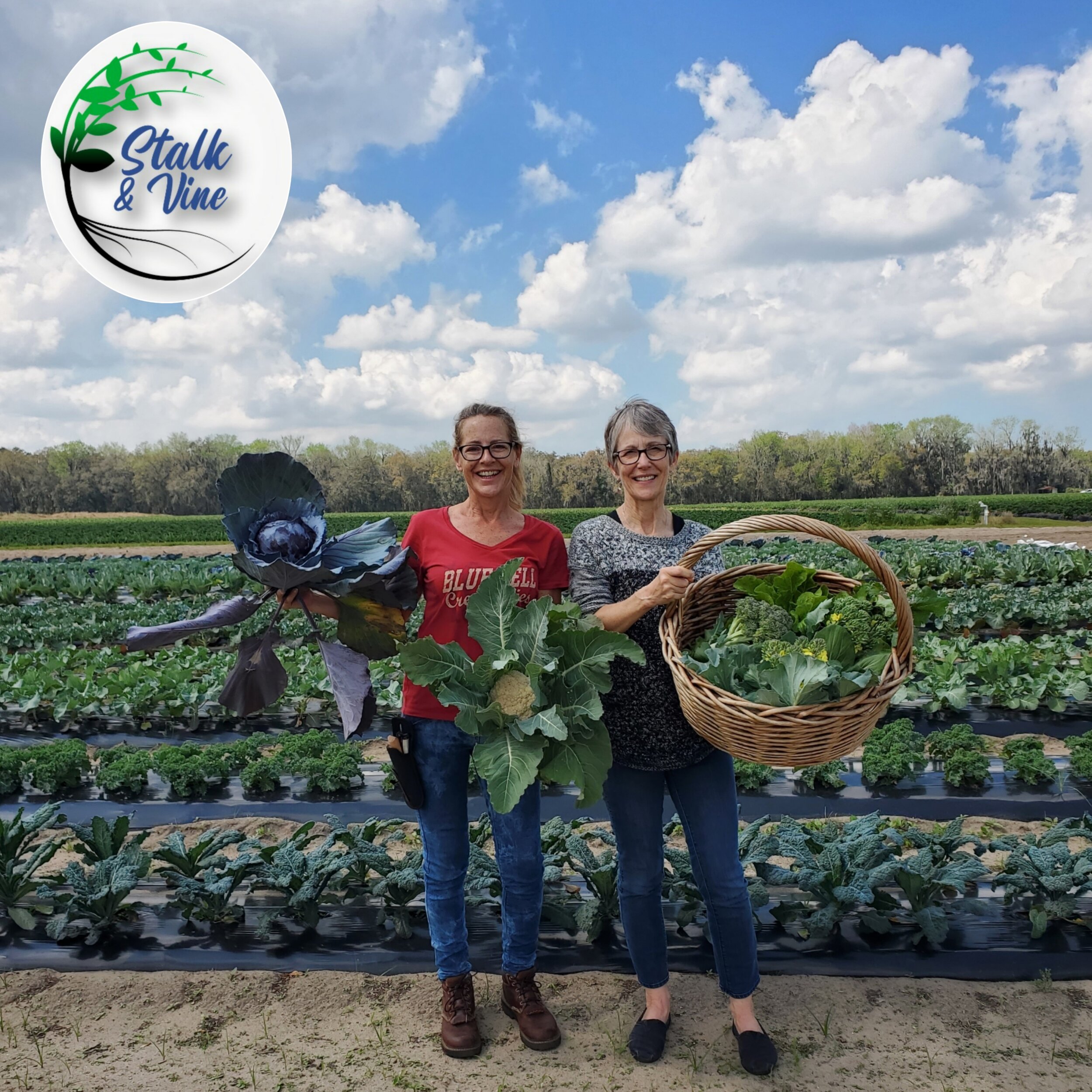 Two women stand in a lush vegetable field, one holding a large purple cabbage and the other a basket filled with fresh greens and vegetables. The background features rows of thriving crops under a bright blue sky with fluffy clouds. The logo of 