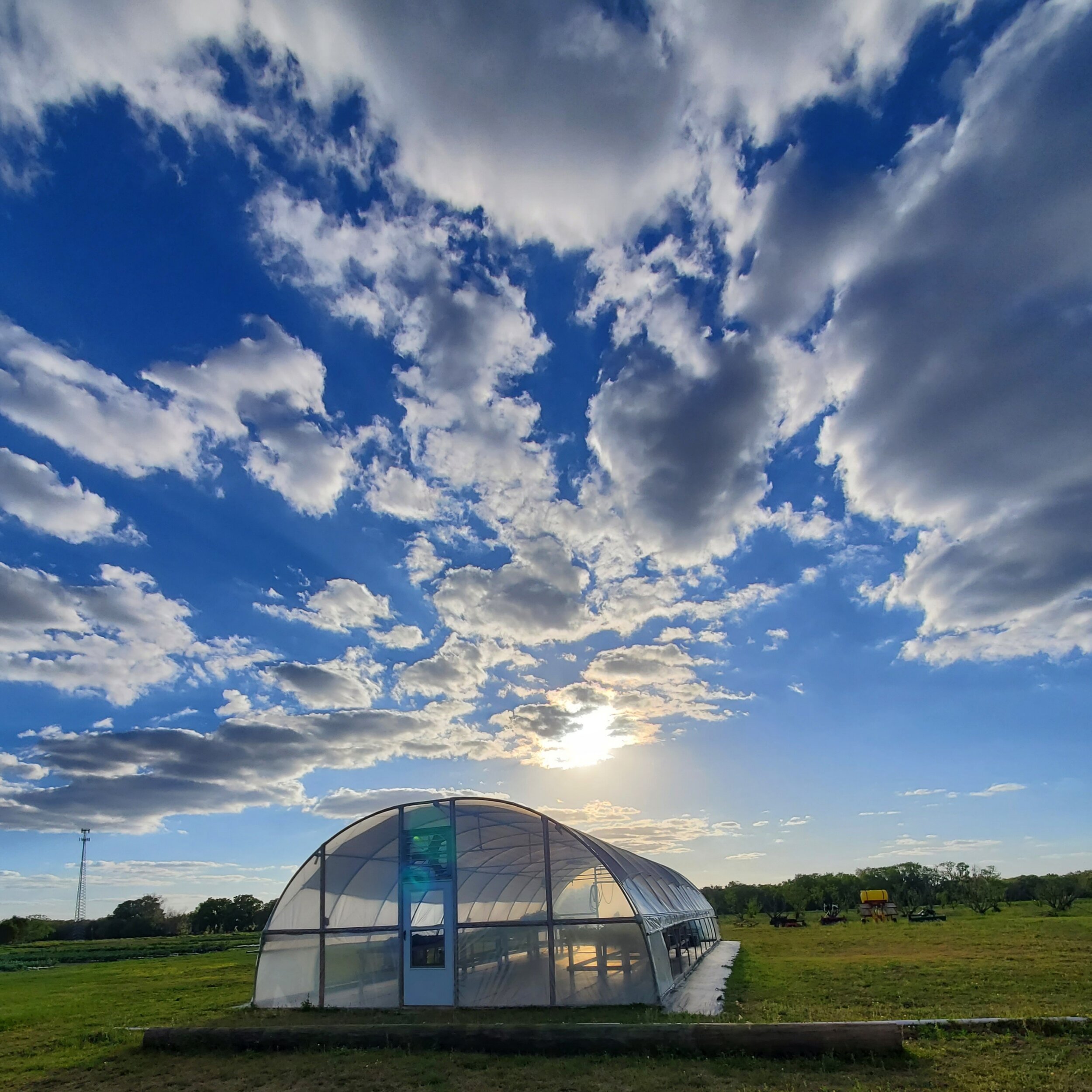 Greenhouse under a bright blue sky with fluffy clouds, showcasing sustainable agriculture practices in a rural landscape. Sunlight reflects off the greenhouse structure, highlighting its role in plant growth and cultivation.