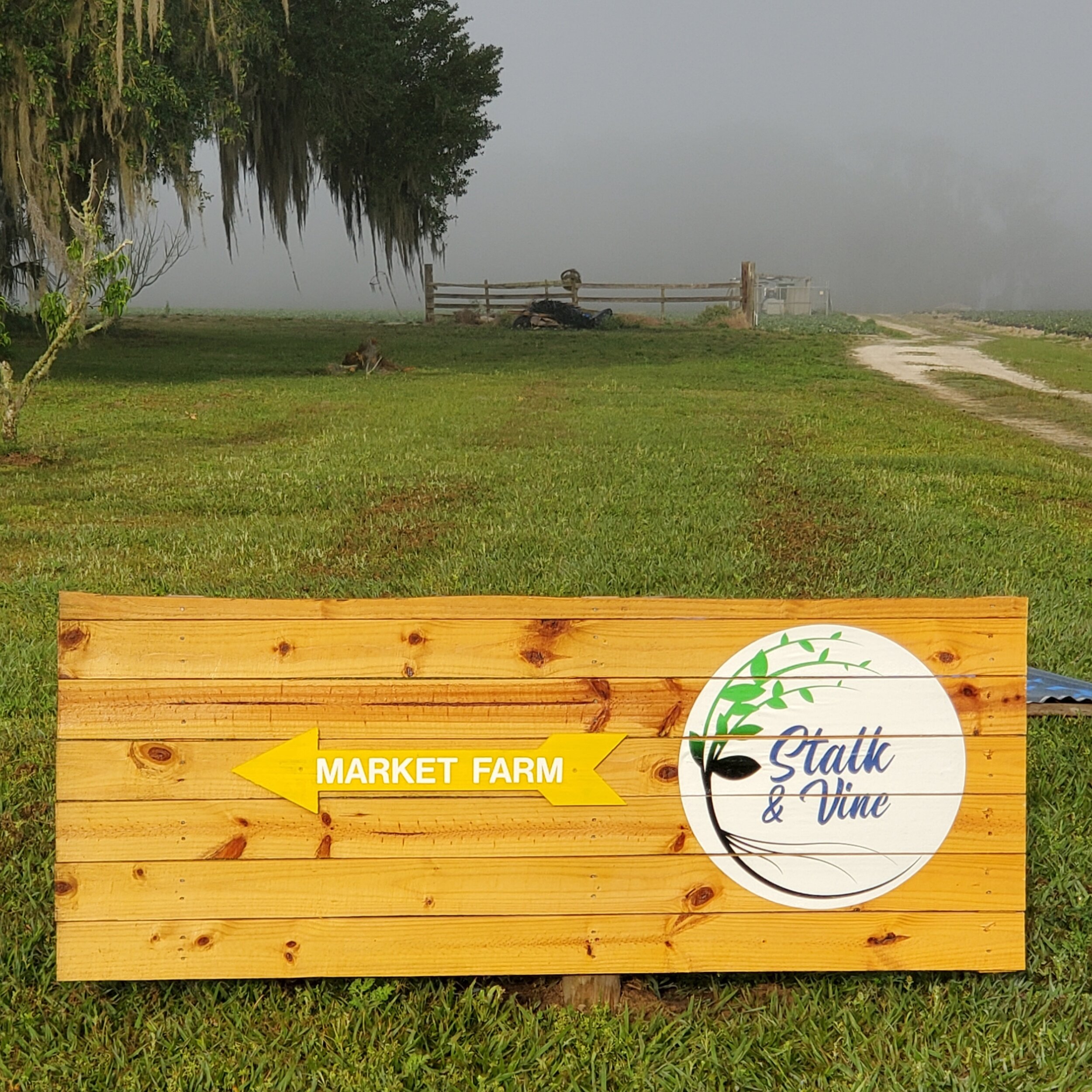 Wooden sign for Stalk & Vine Market Farm, featuring a yellow arrow pointing left, set against a misty rural landscape with green grass and trees.