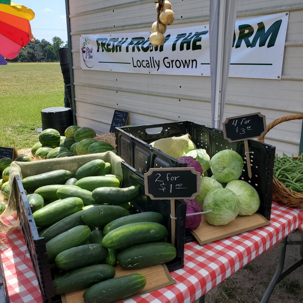 Fresh produce display at a local farm stand featuring cucumbers, cabbages, and onions. The sign reads "Fresh from the Farm - Locally Grown." Price tags indicate cucumbers for $1 each or 2 for $1, and cabbages priced at 4 for $3. Colorful umbrellas provide shade over the vibrant vegetables on a checkered tablecloth.
