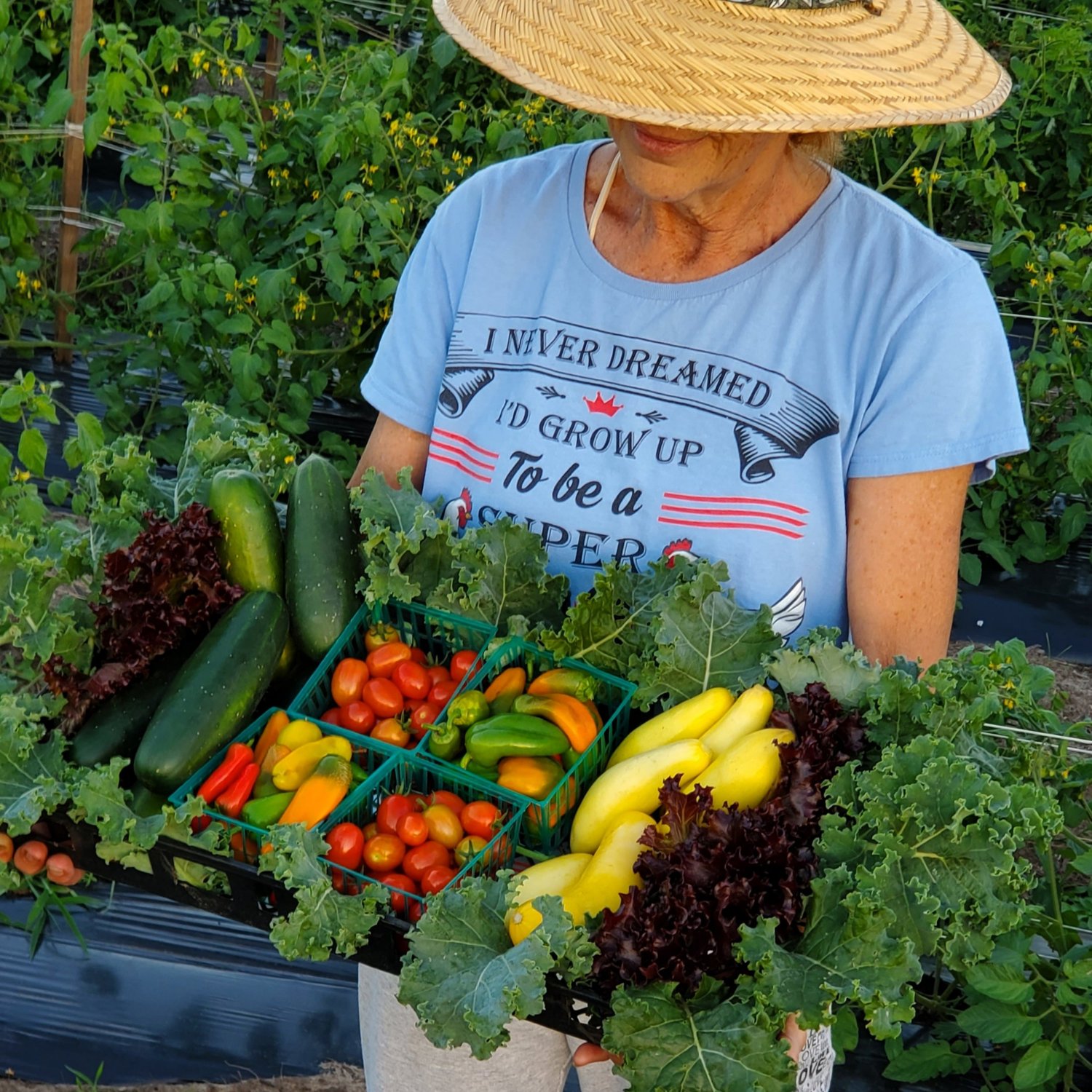 Woman holding a basket of fresh vegetables, including cucumbers, tomatoes, bell peppers, and yellow squash, surrounded by leafy greens in a vibrant garden setting.