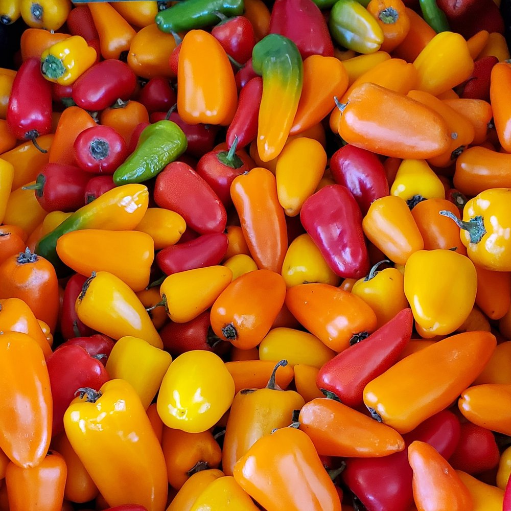 Colorful variety of mini sweet peppers in shades of red, orange, yellow, and green, arranged in a visually appealing display. Perfect for fresh recipes, salads, and garnishes.