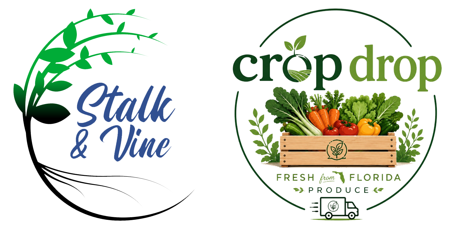 Logo design for Stalk & Vine, featuring green leaves and a stylized font in blue, symbolizing growth and nature. Ideal for gardening, organic products, or eco-friendly brands.